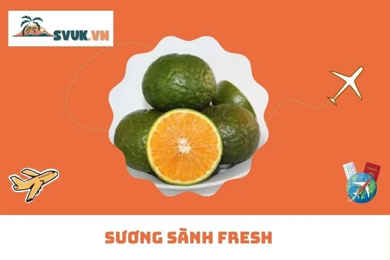 SƯƠNG SÀNH FRESH