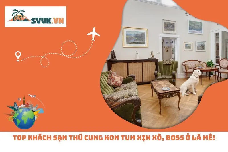Top Khách Sạn Thú Cưng Kon Tum Xịn Xò, Boss Ở Là Mê!
