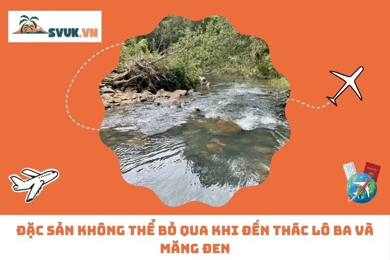 Đặc Sản Không Thể Bỏ Qua Khi Đến Thác Lô Ba Và Măng Đen