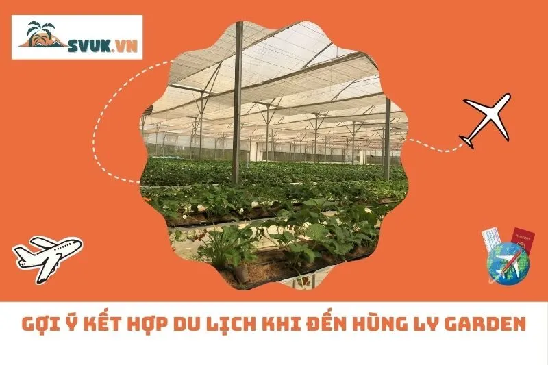 Gợi ý kết hợp du lịch khi đến Hùng Ly Garden
