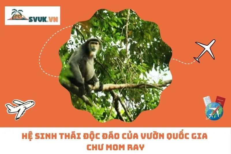 Hệ Sinh Thái Độc Đáo Của Vườn Quốc Gia Chư Mom Ray