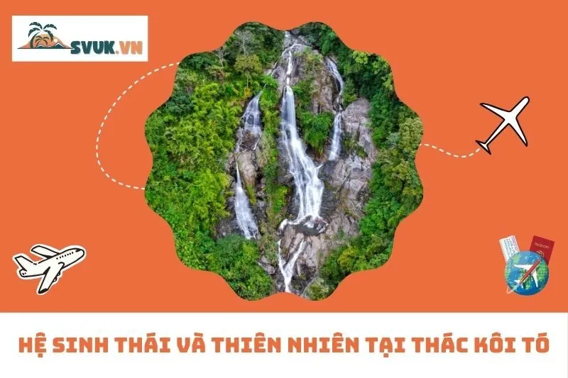 Hệ Sinh Thái Và Thiên Nhiên Tại Thác Kôi Tó