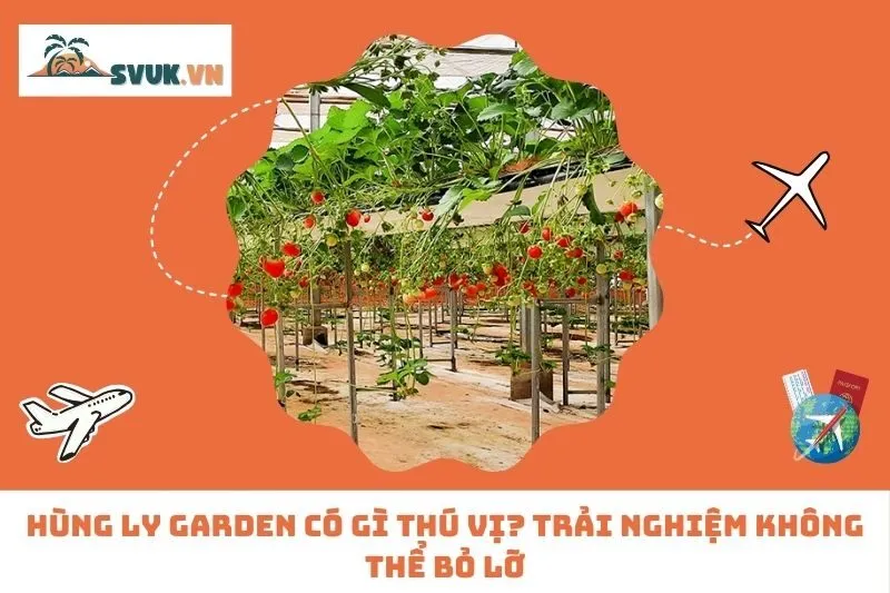Hùng Ly Garden có gì thú vị? Trải nghiệm không thể bỏ lỡ
