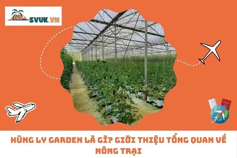 Hùng Ly Garden  là gì? Giới thiệu tổng quan về nông trại