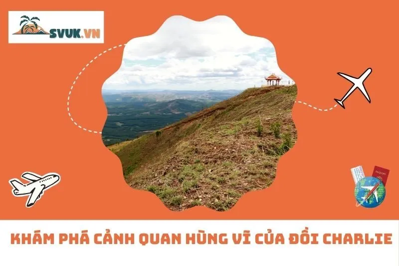 Khám Phá Cảnh Quan Hùng Vĩ Của Đồi Charlie