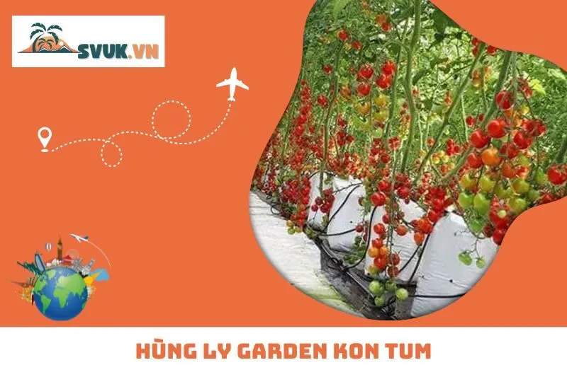 Hùng Ly Garden Kon Tum: Hành Trình Khám Phá Nông Trại Hữu Cơ Độc Đáo