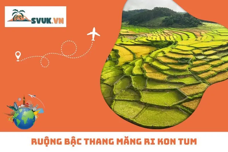 Ruộng Bậc Thang Măng Ri Kon Tum: Vẻ Đẹp Hoang Sơ Giữa Đại Ngàn