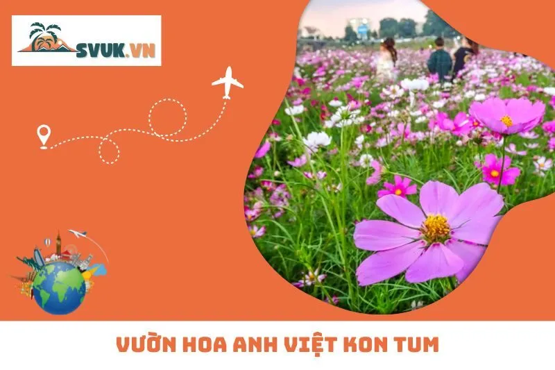 Vườn Hoa Anh Việt Kon Tum: Thiên Đường Sắc Hoa Bên Sông Đăk Bla