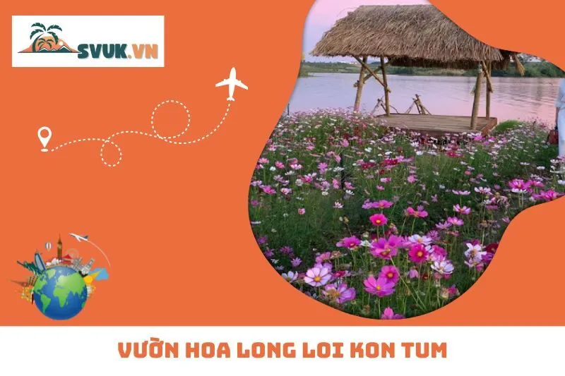 Vườn Hoa Long Loi Kon Tum – Ốc Đảo Thơ Mộng Giữa Lòng Cao Nguyên