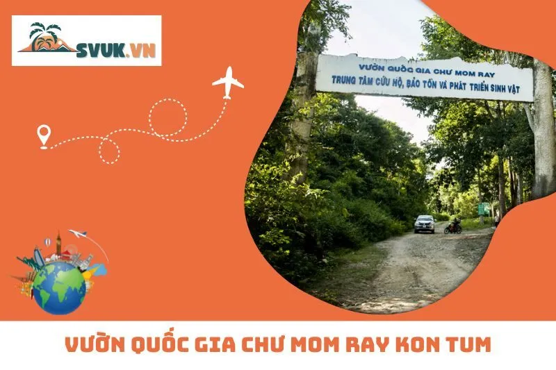 Vườn Quốc Gia Chư Mom Ray Kon Tum: Khám Phá Thiên Nhiên Hoang Dã