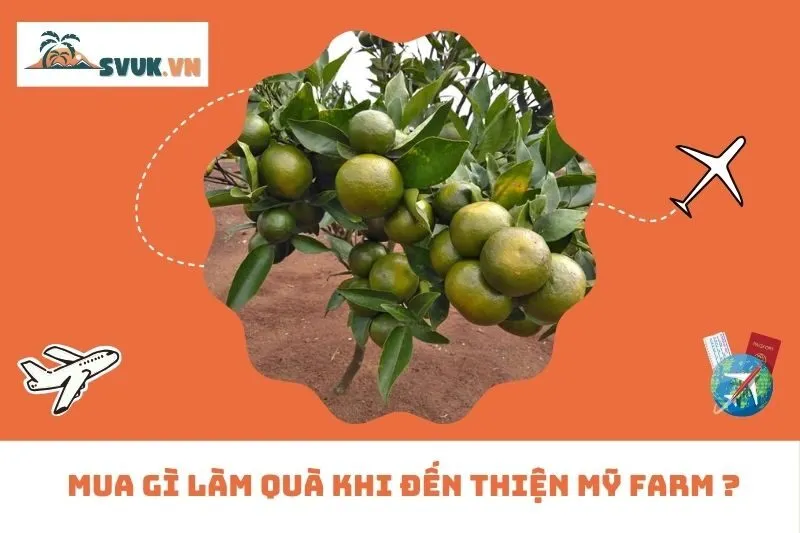 Mua gì làm quà khi đến Thiện Mỹ Farm ?