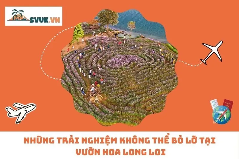Những trải nghiệm không thể bỏ lỡ tại Vườn hoa Long Loi