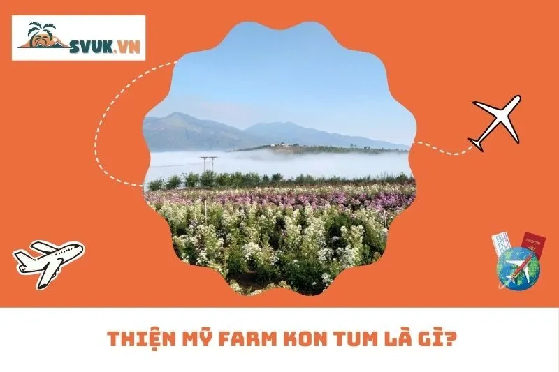 Thiện Mỹ Farm Kon Tum là gì?