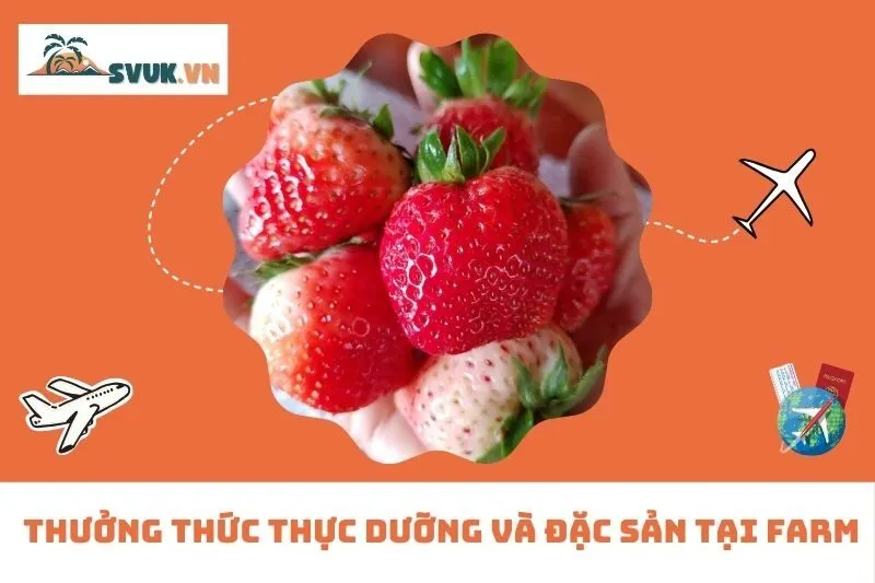 Thưởng thức thực dưỡng và đặc sản tại farm