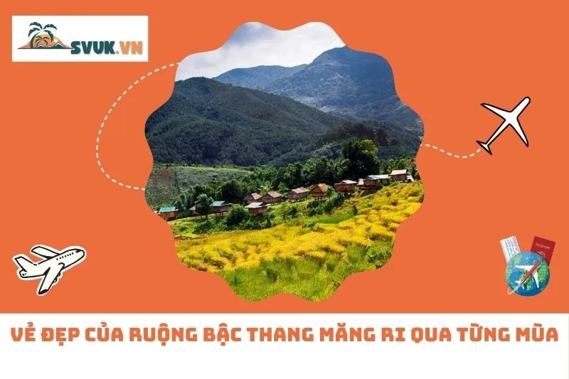 Vẻ Đẹp Của Ruộng Bậc Thang Măng Ri Qua Từng Mùa